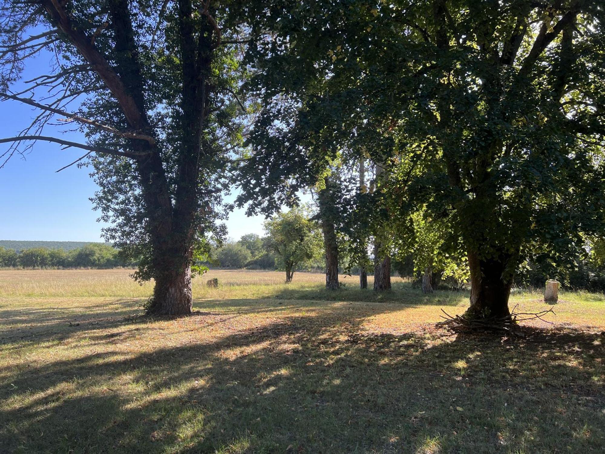 La Petite Troliere Orval (Manche) Exterior foto